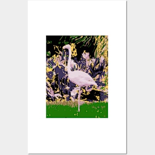 Flamingo02 Posters and Art